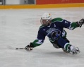 “Bronze” in sledge hockey 