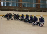 The first stage of the championship of Russia's sledge hockey season 2012-2013